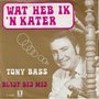 tony bass - wat heb ik een kater