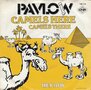 pavlow - camels here camels there