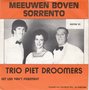 trio piet droomers - meeuwen boven sorrento