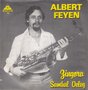 albert feyen - zingora