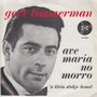 gert timmerman - ave maria no morro