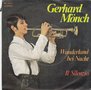 gerhard mönch - wunderland bei nacht