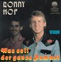 ronny hof - was soll der ganze rummel