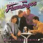 romantic flamingos - ciao, ciao romina