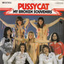 pussycat - my broken souvenirs
